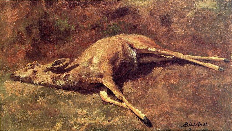 Albert Bierstadt A Native of the Woods France oil painting art